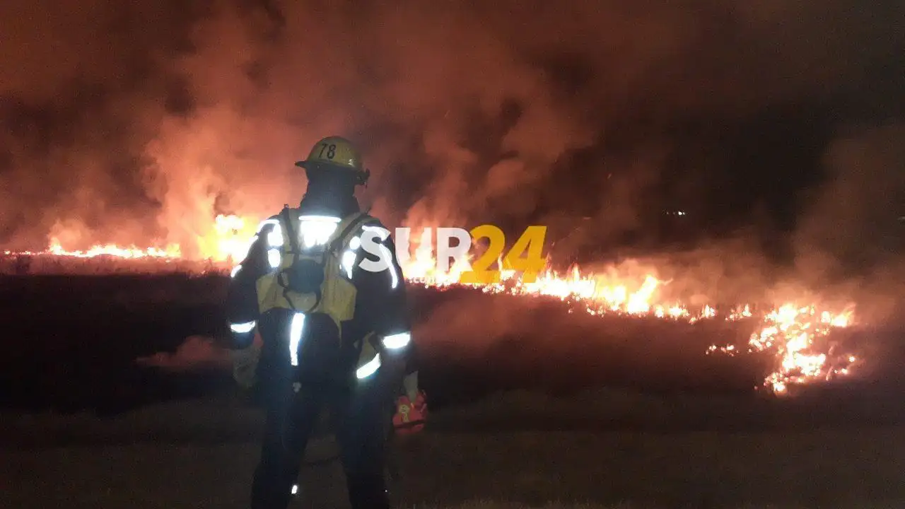 Venado Tuerto: incendio de pastizales en laguna El Hinojo