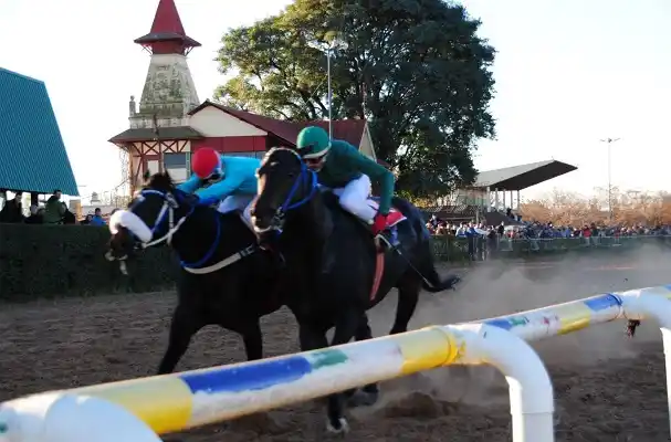 Turf: Fran Triomphe se impuso en el Clásico 9 De Julio
