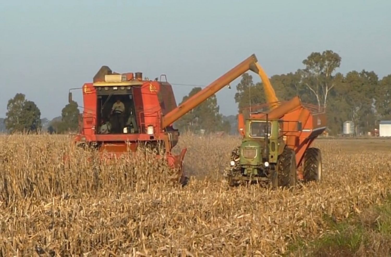 “El sector agropecuario ha sostenido al país en la pandemia”