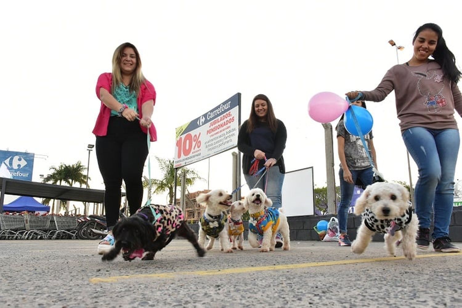 Formosa tendrá su desfile de animales con fines solidarios