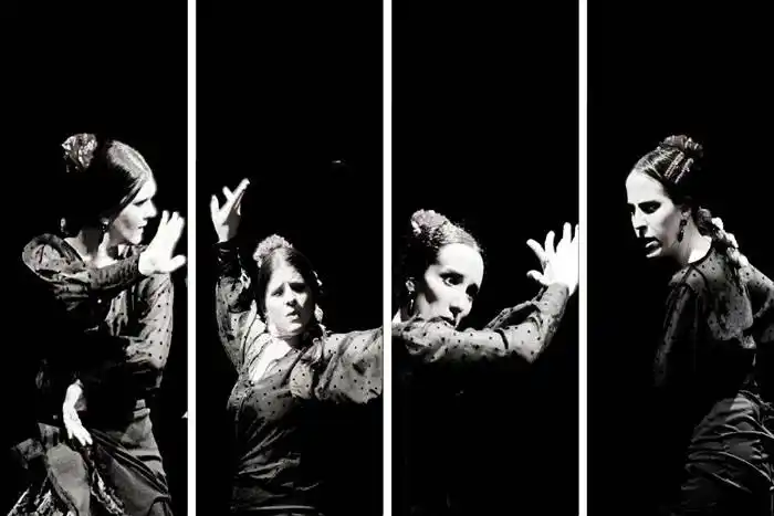 El Premio Provincial de Danza ya tiene sus primeros ganadores