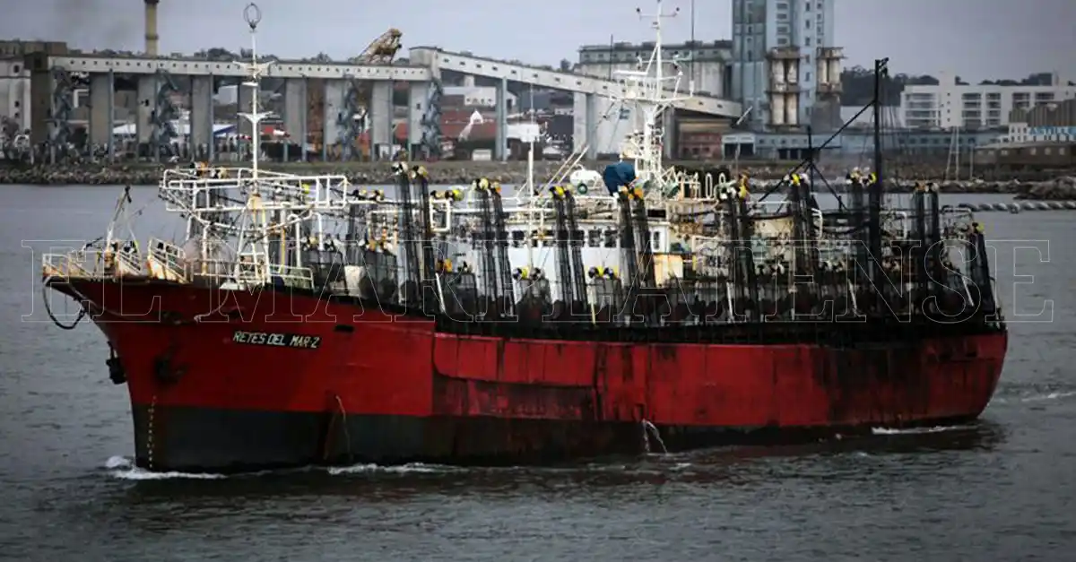 Derogaron la resolución que prohíbe la pesca de calamar