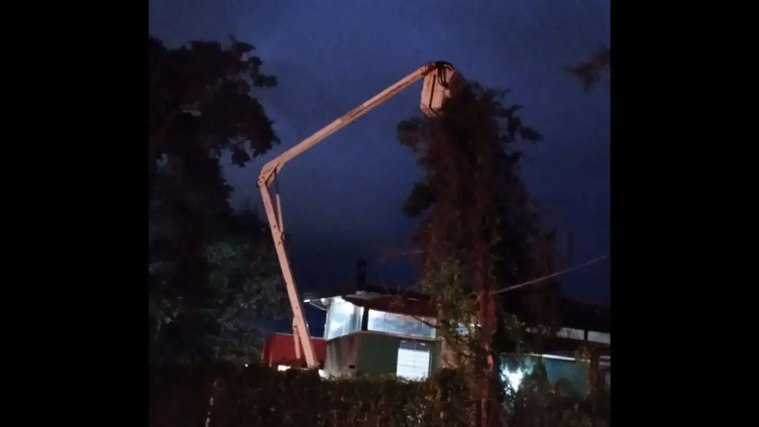 Personal municipal trabajaba en Noseda al 1600 con un árbol caído.