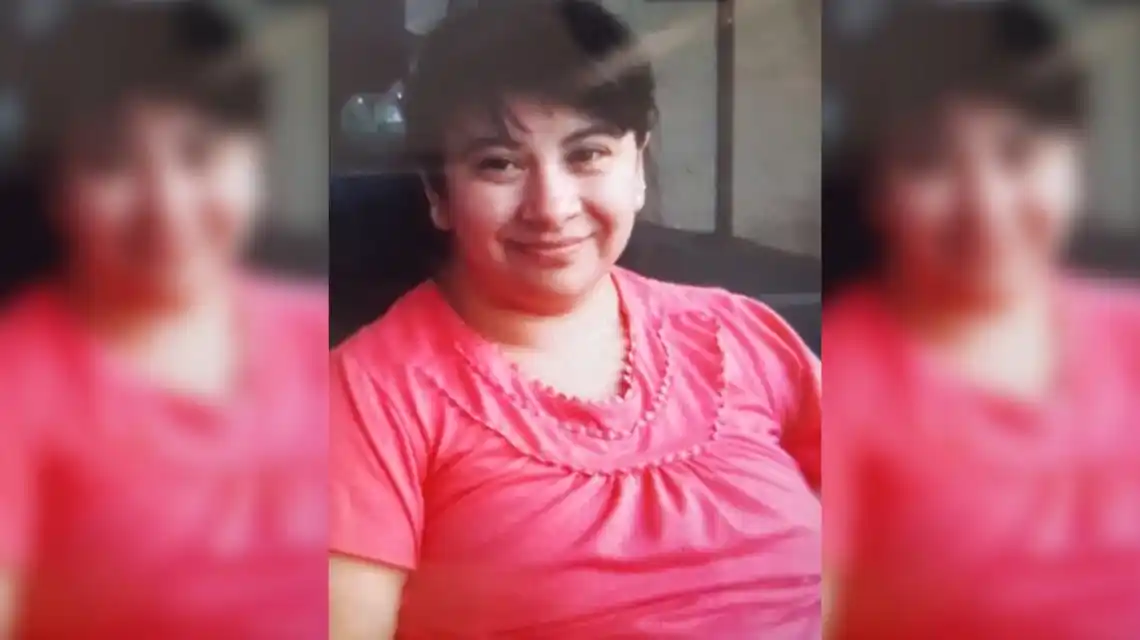 La Plata: una embarazada estaba por ingresar a cesárea y desapareció
