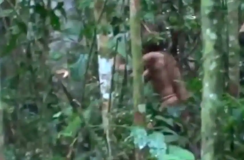Video: el último representante de una tribu vive solo en el Amazonas
