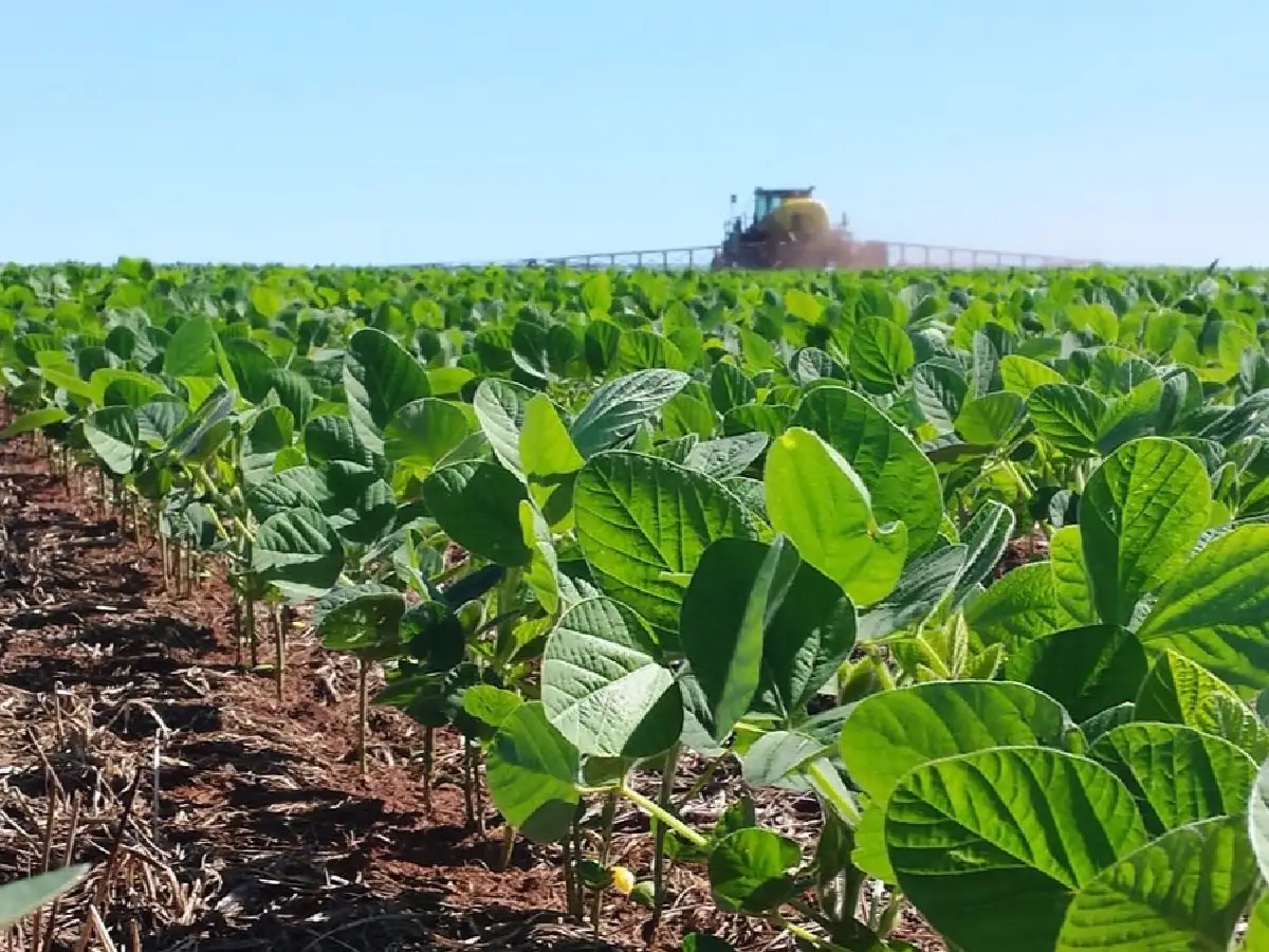 En un año, la inversión en agricultura se redujo 65 %