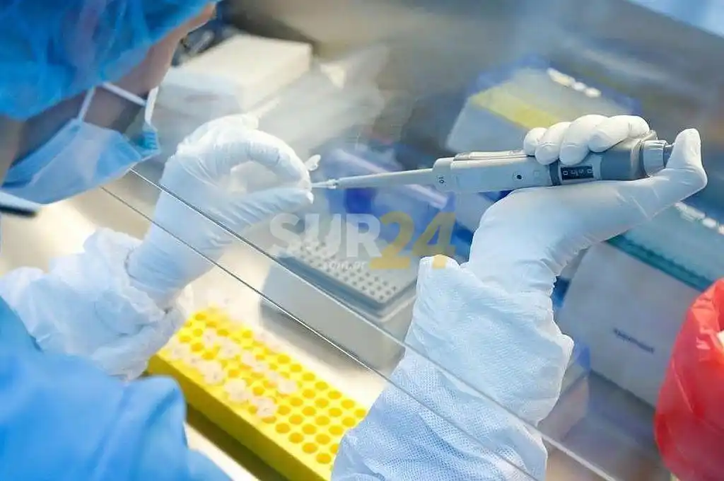 Una empresa argentina fue seleccionada por la OMS para fabricar vacunas contra el Covid