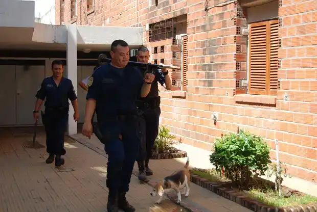Encuentran muerto a un anciano en un edificio