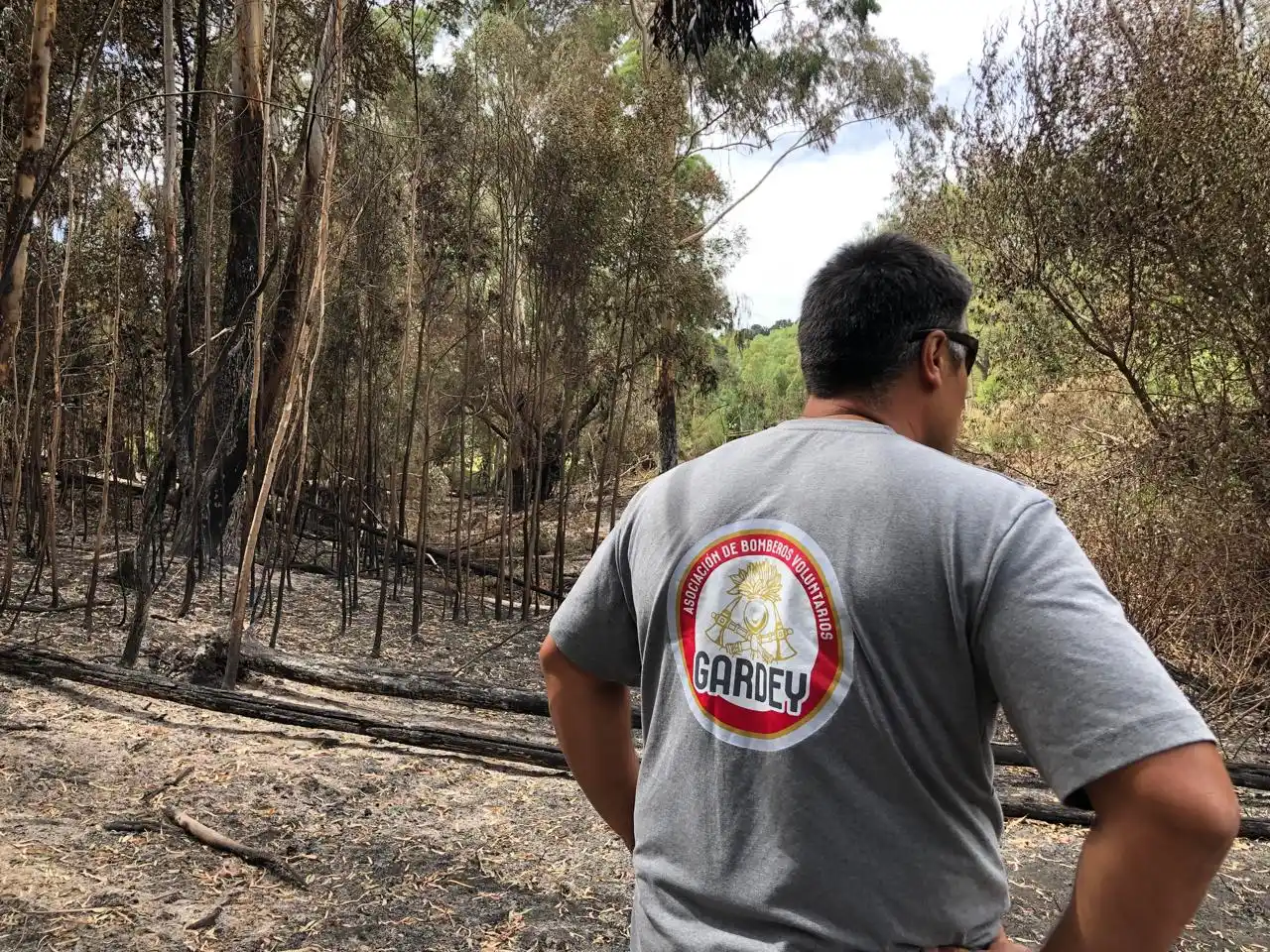 bomberos gardey incendio sierras 18-01-25 - 3