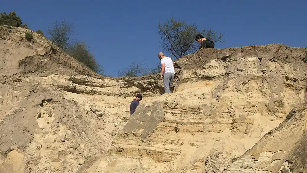 Identifican en Victoria el primer fósil pelícano