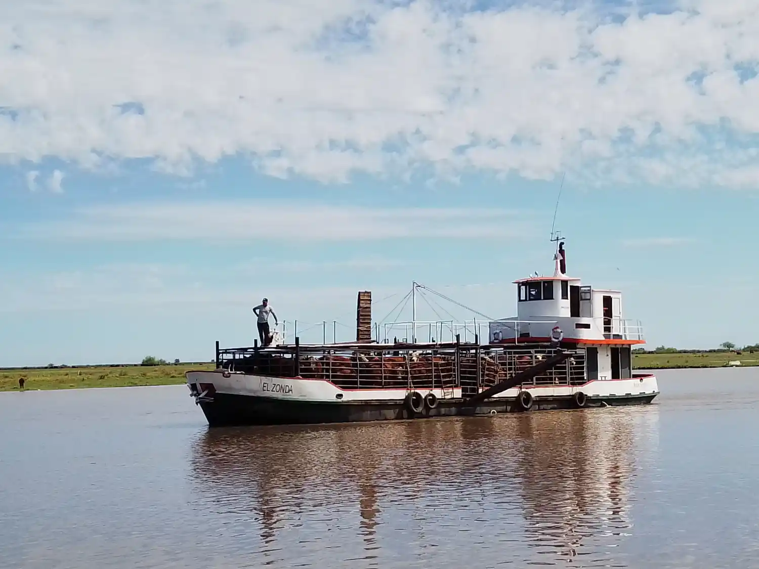 Continúan los trabajos de evacuación de ganado desde la Boca del Gualeguay