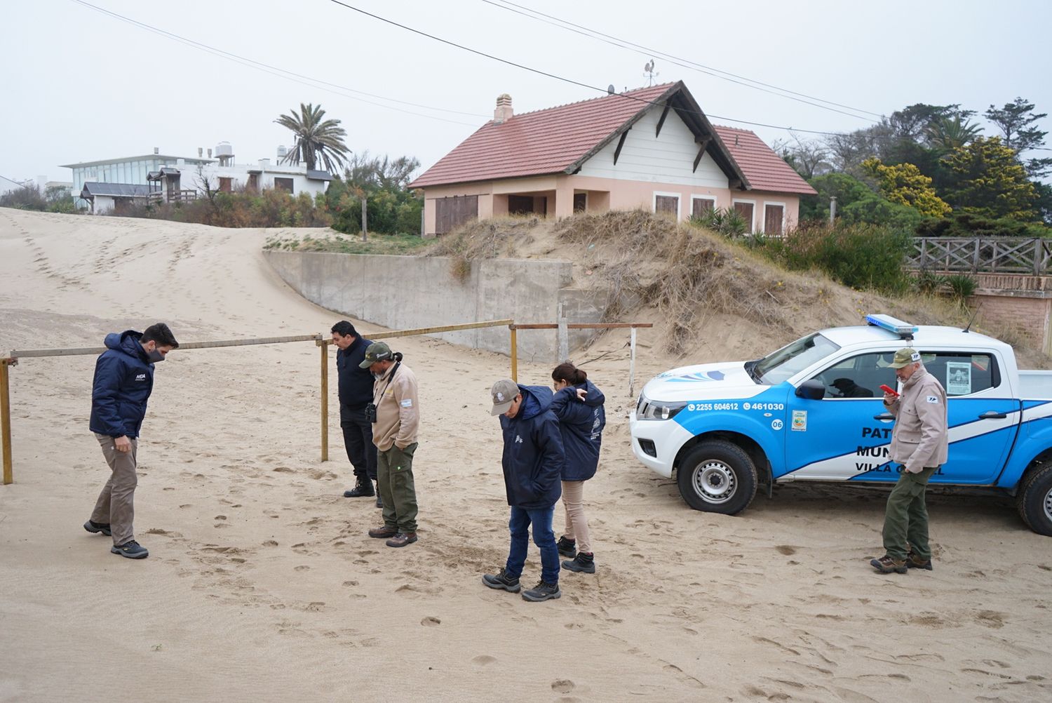 Pumas en Villa Gesell: Confirmaron que uno ingresó a una reserva natural