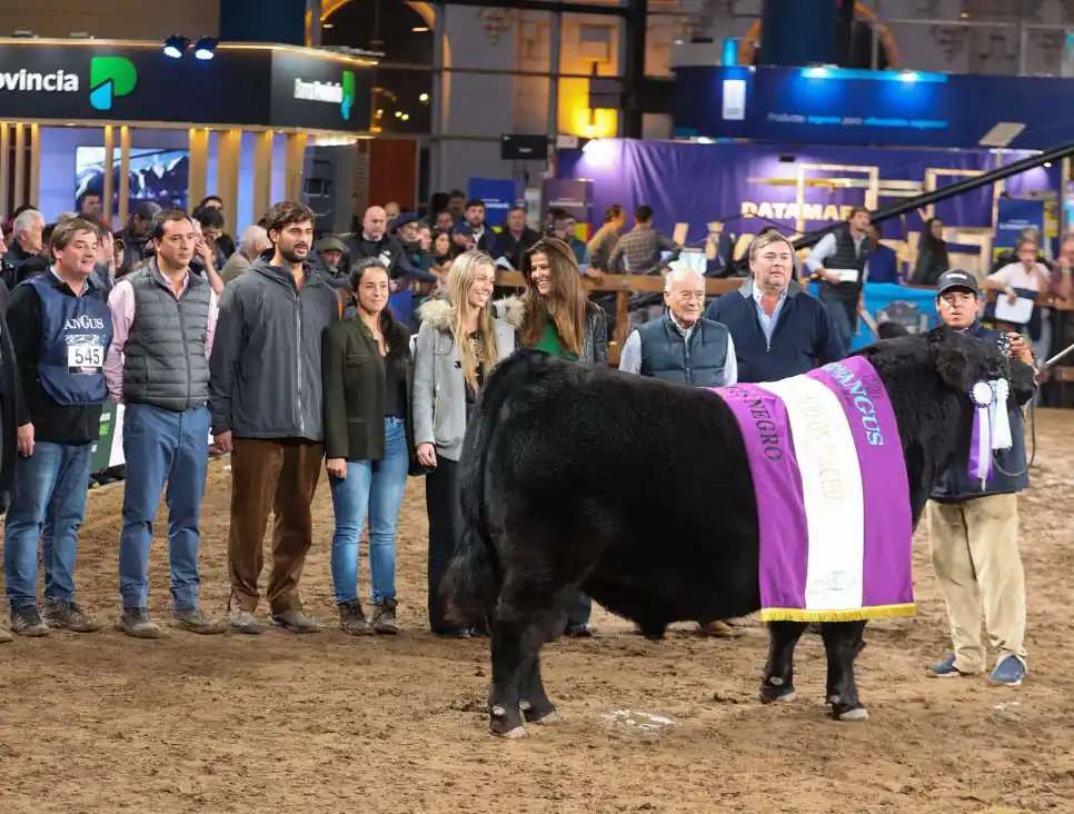 Arandú logró el Reservado Gran Campeón Macho Negro en la Expo de Otoño