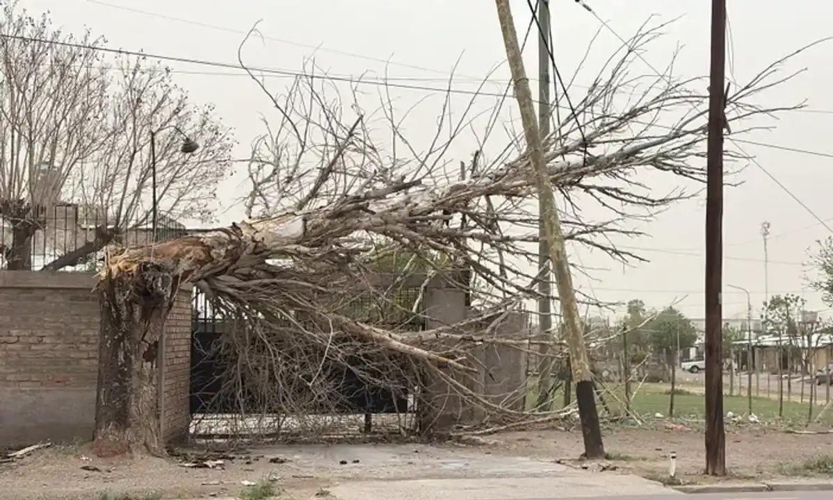Temporal en Mendoza: un muerto, vuelos suspendidos y graves daños por el viento
