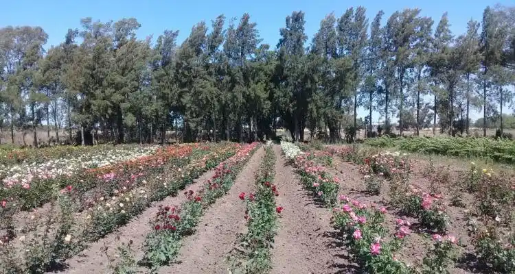 Llega el Ministro de Desarrollo Agrario a recorrer viveros y al INTA