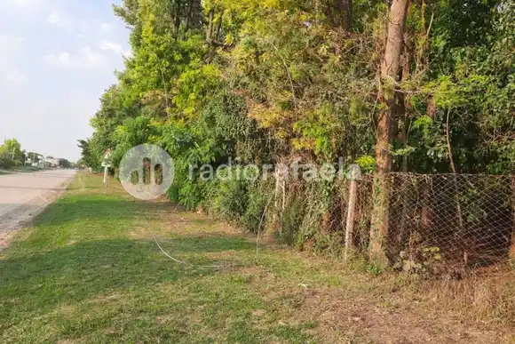 Incendio en el Bosquecito Besaccia: se habría producido por un desperfecto técnico