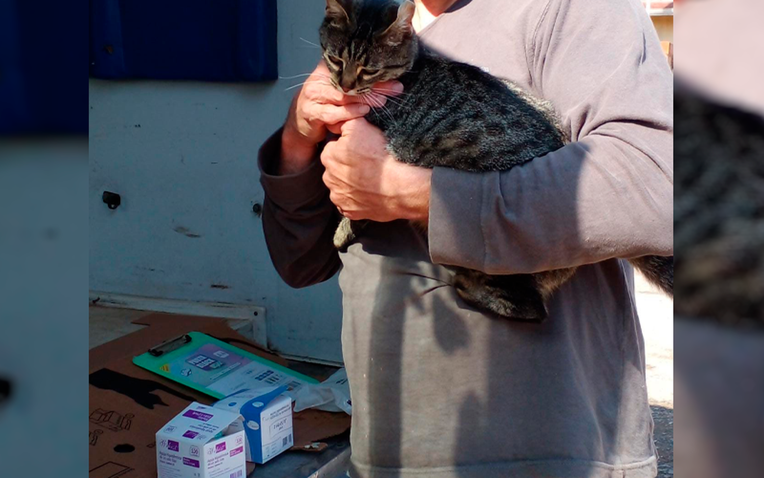 Vacunación para gatos y perros en la plaza de la Amistad este miércoles