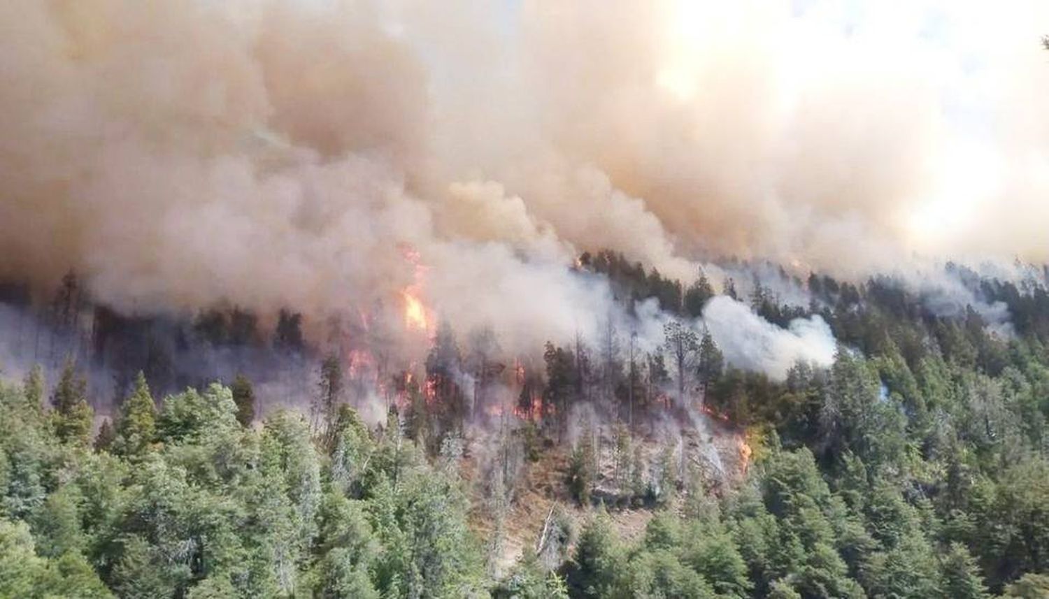 Entre Ríos, Neuquén, Chubut y Río Negro registran incendios forestales activos