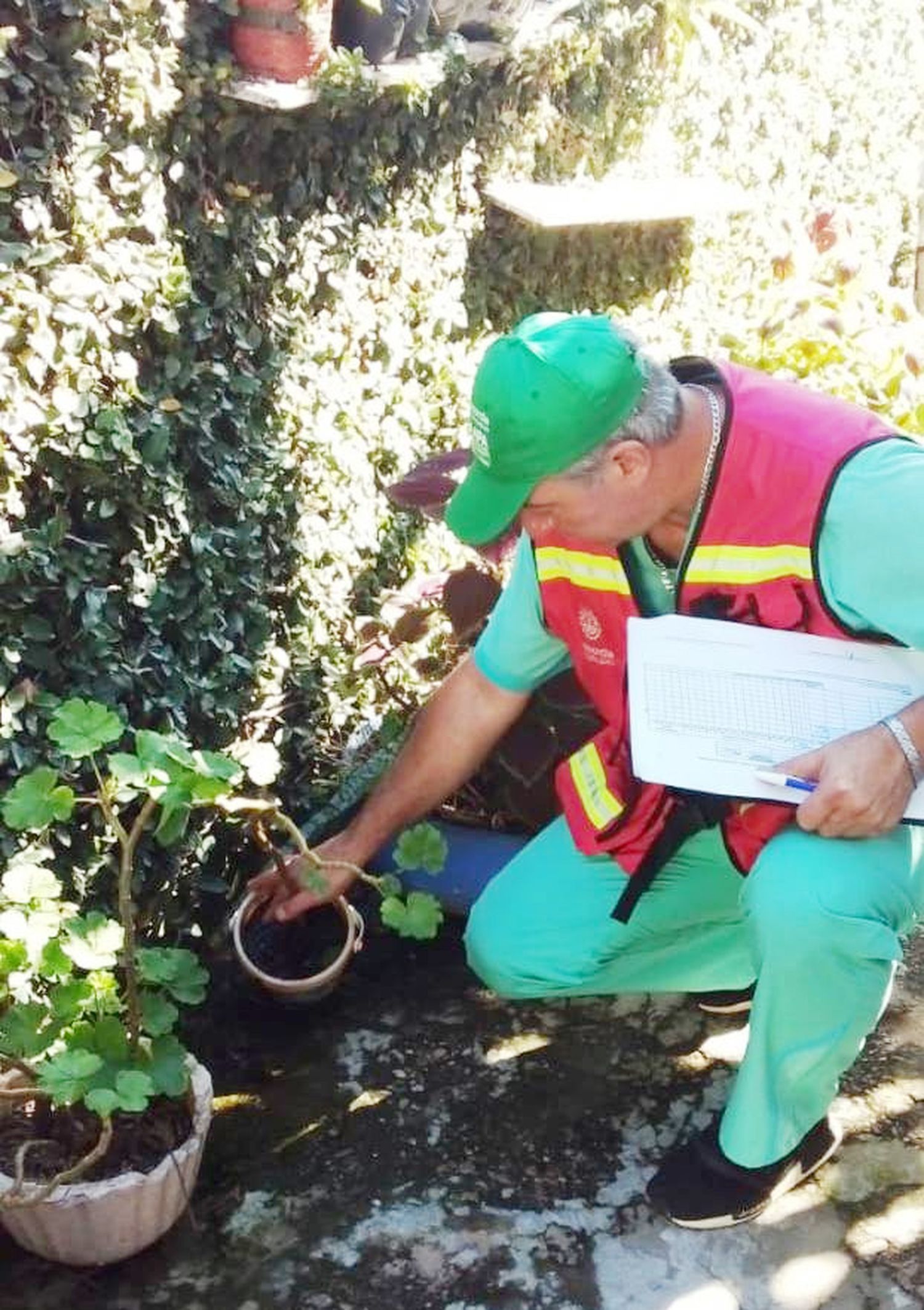 Programa de fumigación barrial