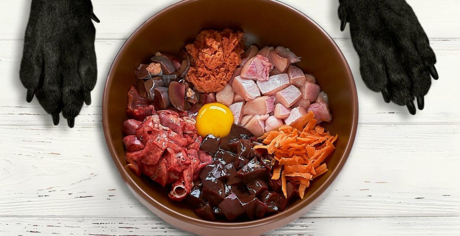 Sumo cuidado. Hay que tener al momento de alimentar a las mascotas