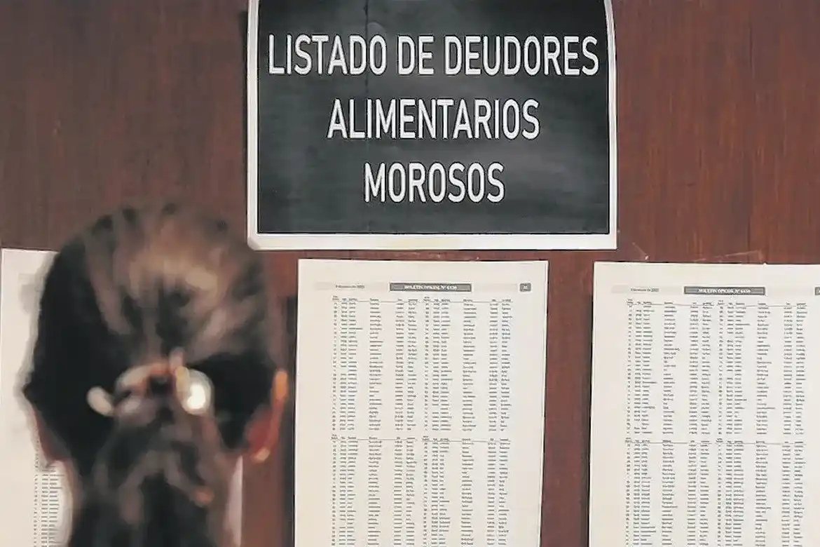 Rechazaron un proyecto para impedir beneficios municipales a deudores alimentarios