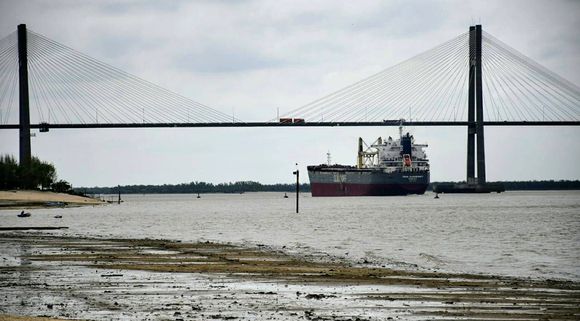 El maíz sube en Bahía Blanca por la baja del Paraná