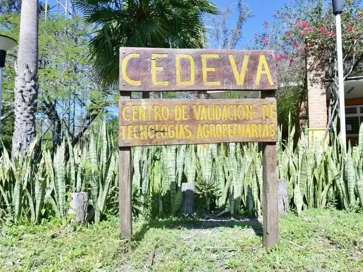 Destacan posibilidades que ofrece en lo
productivo la distribución territorial de los CEDEVA