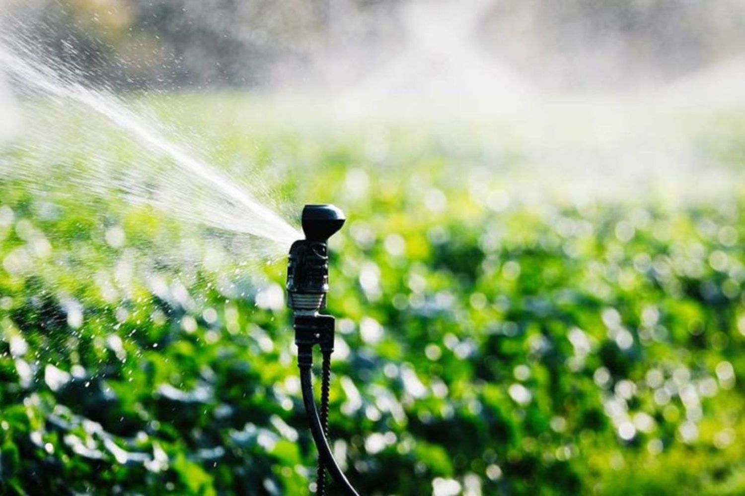 Es hora de integrar la producción, el ambiente y el agua