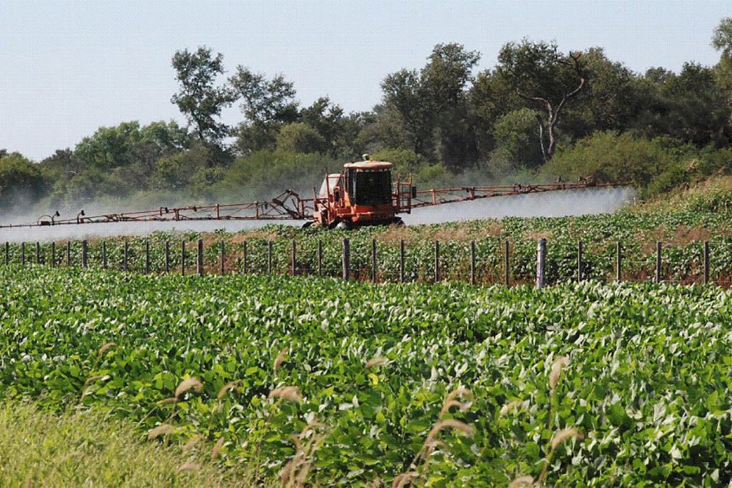 Productores pidieron al STJ que «sostenga la constitucionalidad» del decreto sobre fumigaciones