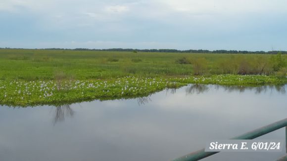 Río Paraná: "El escenario dominante será estable en aguas bajas"