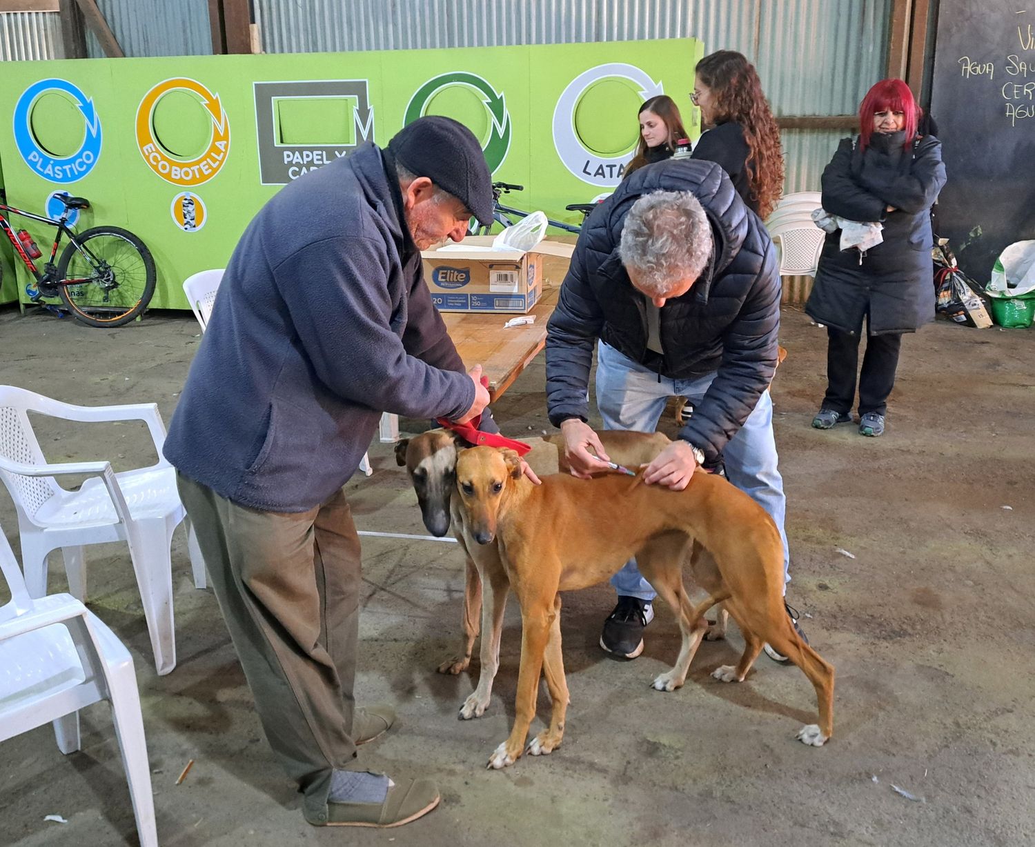 En total 47 animales fueron vacunados.