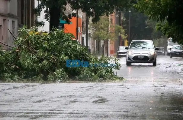 El temporal también castigó Gualeguaychú
