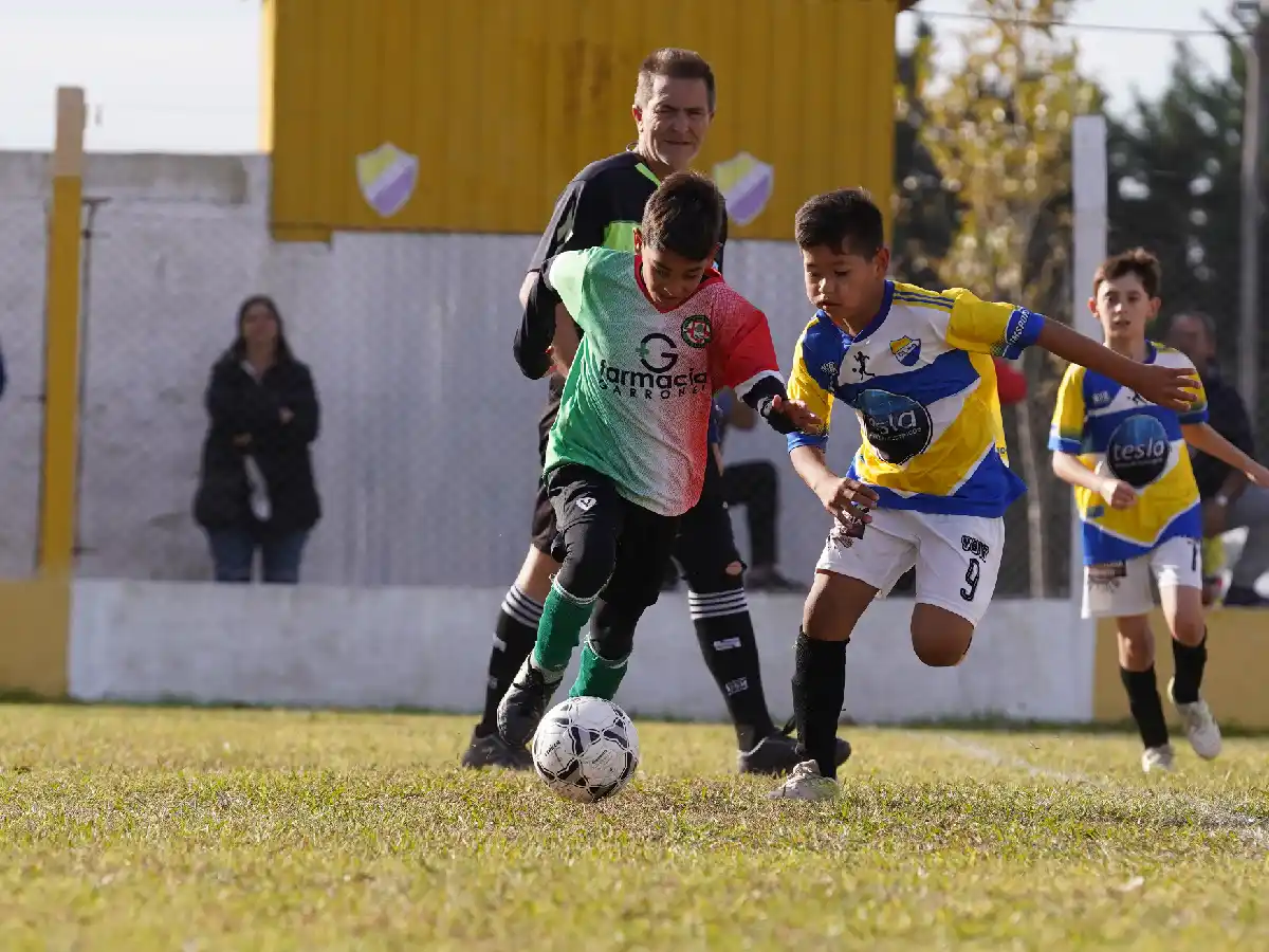 Sigue el Torneo Apertura