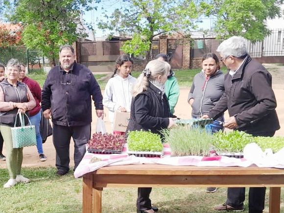 Comienza la etapa primavera–verano del programa de huertas agroecológicas familiares