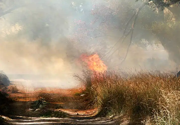 Incendios amenazaron el sector industrial y el Polideportivo