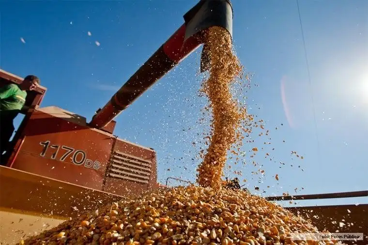 Transporte de granos: el campo entrerriano reclama “libertad de contratación y circulación”
