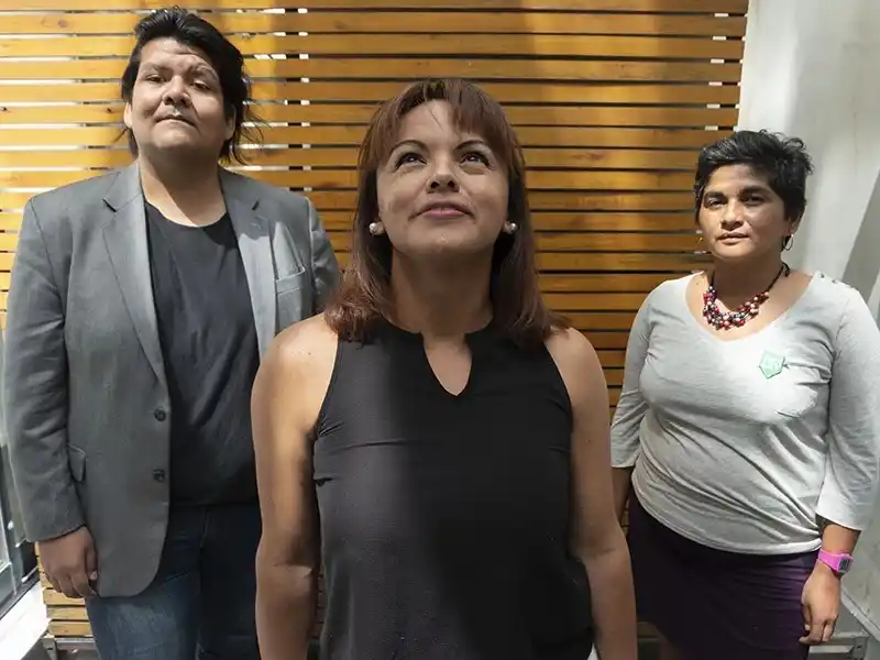 El activismo "marrón" desembarcó en el teatro con "Sí, señora, sí"