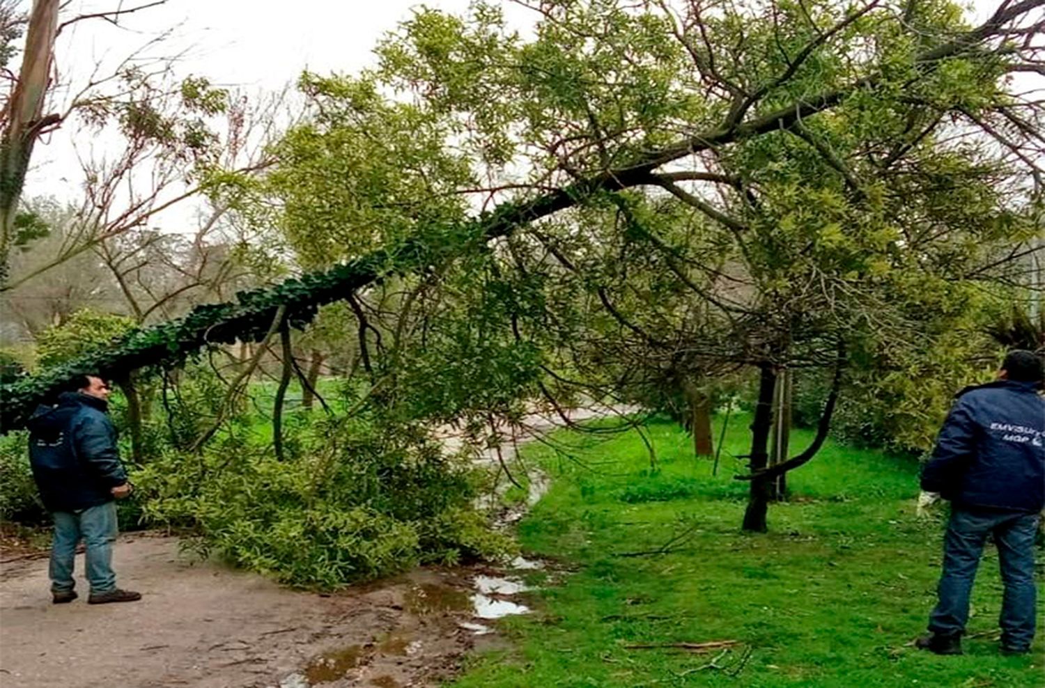 Extienden el alerta amarillo por viento hasta el viernes por la mañana