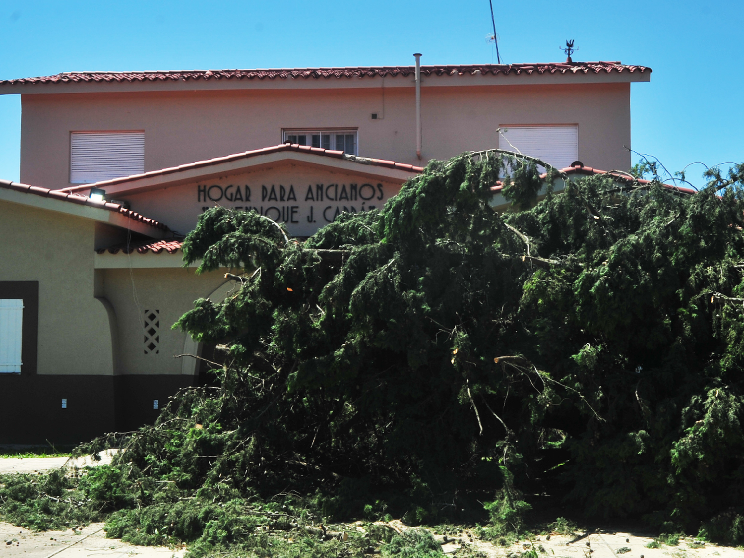 Hogar de Ancianos: en los próximos días removerán árboles caídos tras el temporal