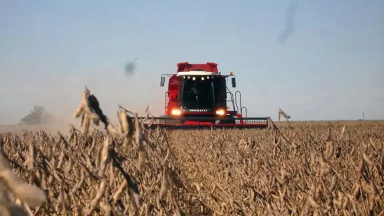 A partir de enero las exportaciones de soja volverán a tributar un 33% de retenciones