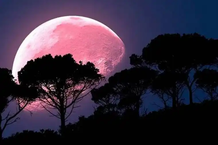 Se aproxima la “Superluna Rosa”: cuándo, dónde y cómo verla