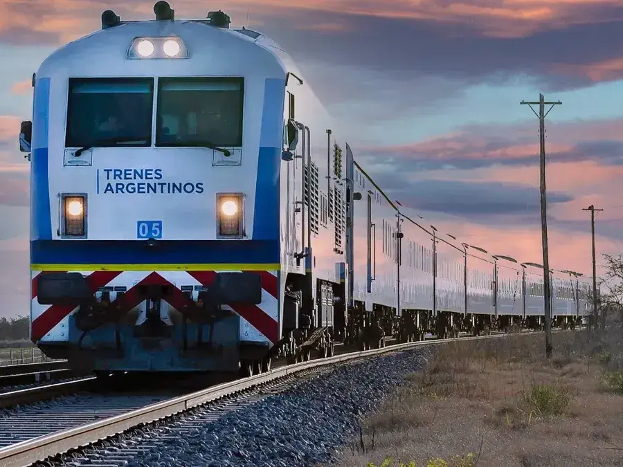 Las mascotas podrán viajar de Rosario a Buenos Aires en tren junto a sus dueños.