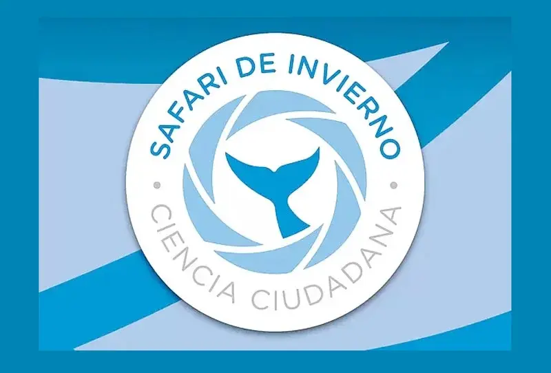 Más de 1.200 especies fueron registradas durante el quinto Safari de Invierno de ArgentiNat