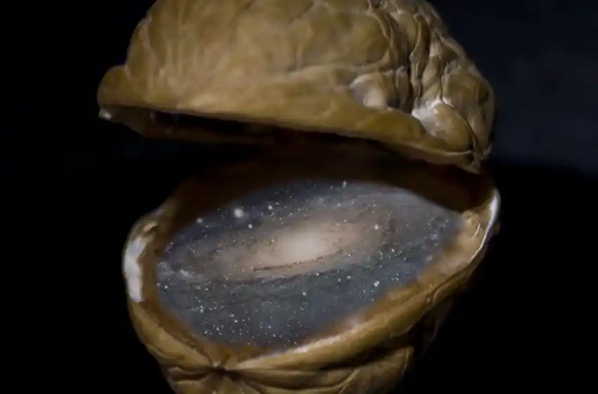 Qué ves cuando me ves