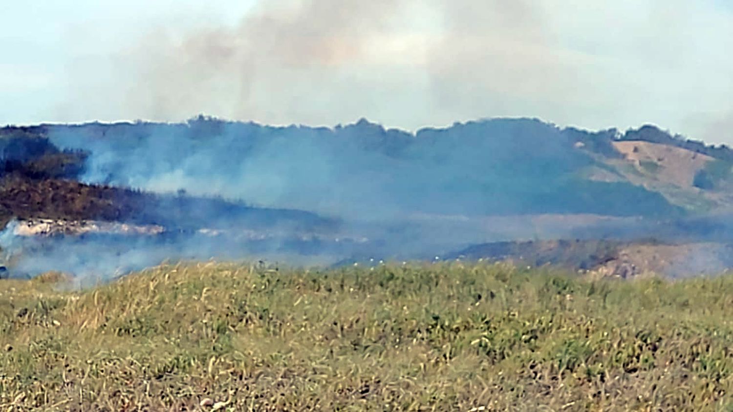 Incendio en Punta Carballido