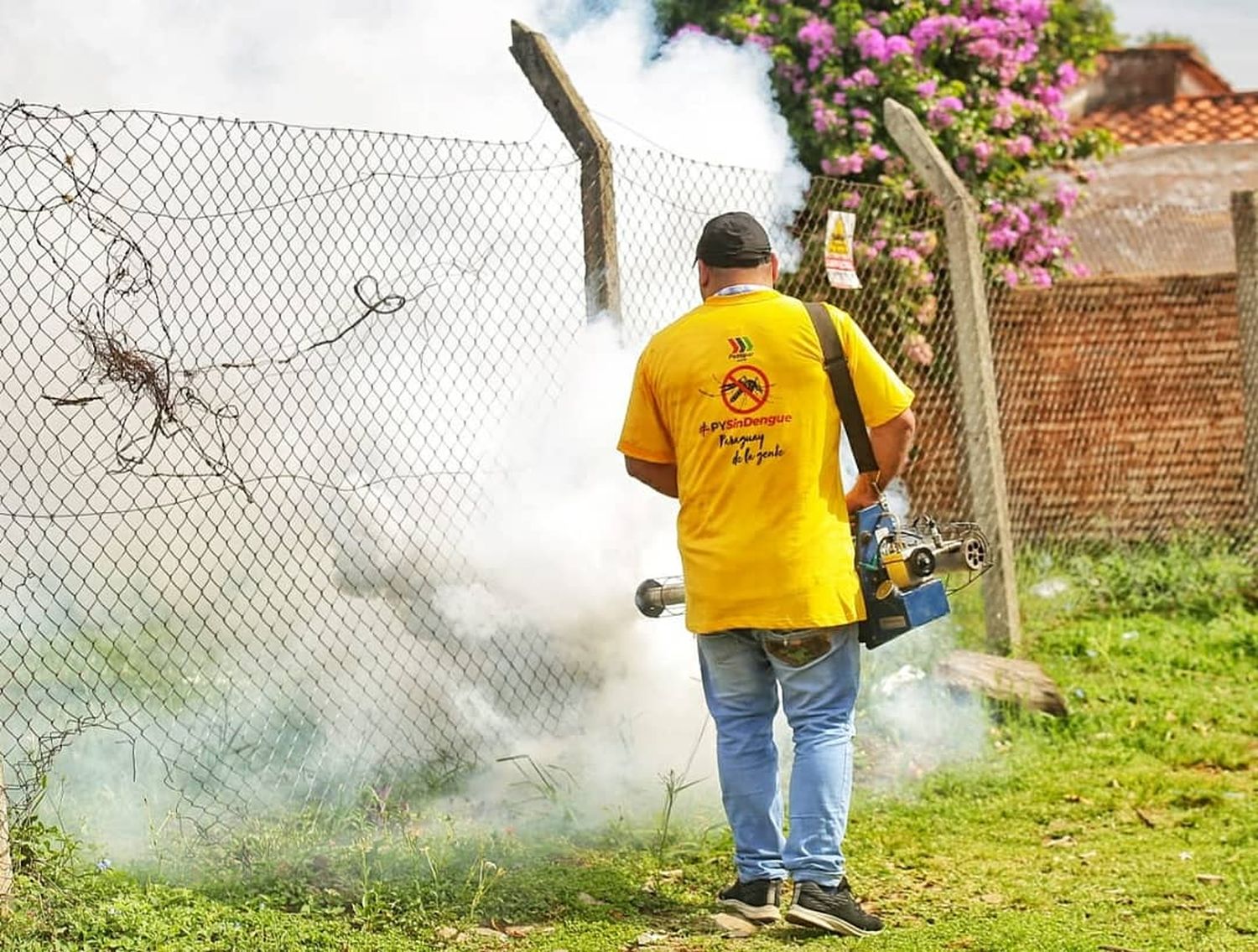 Paraguay: se registró la primer muerte por dengue