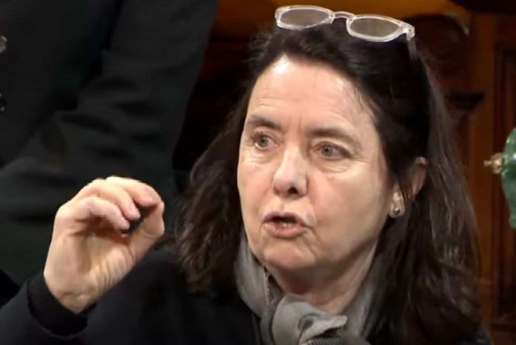 La senadora Carmen Alvarez Rivero dijo que “los chicos de la Argentina no tiene derecho a atenderse en el Garrahan”