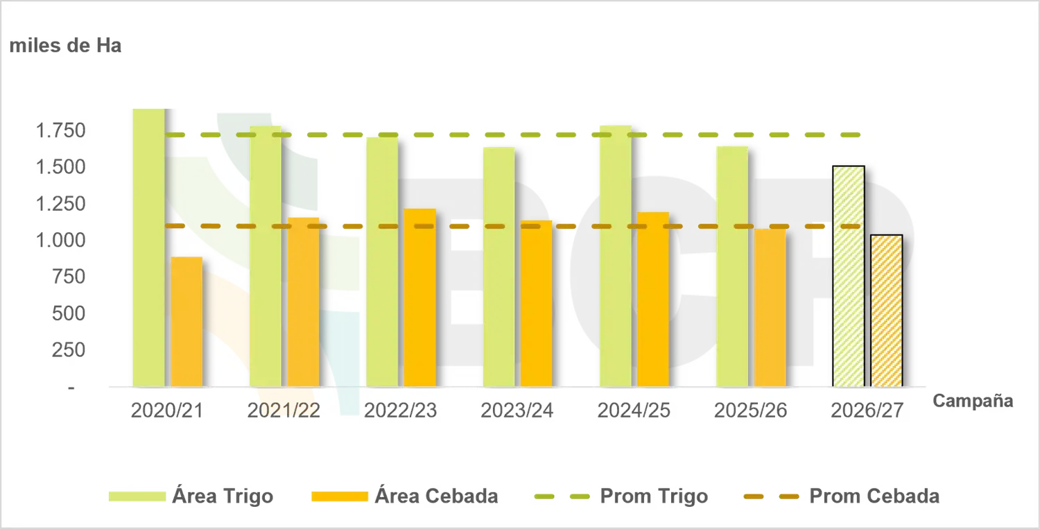 bcp siembra fina 2026 - 3