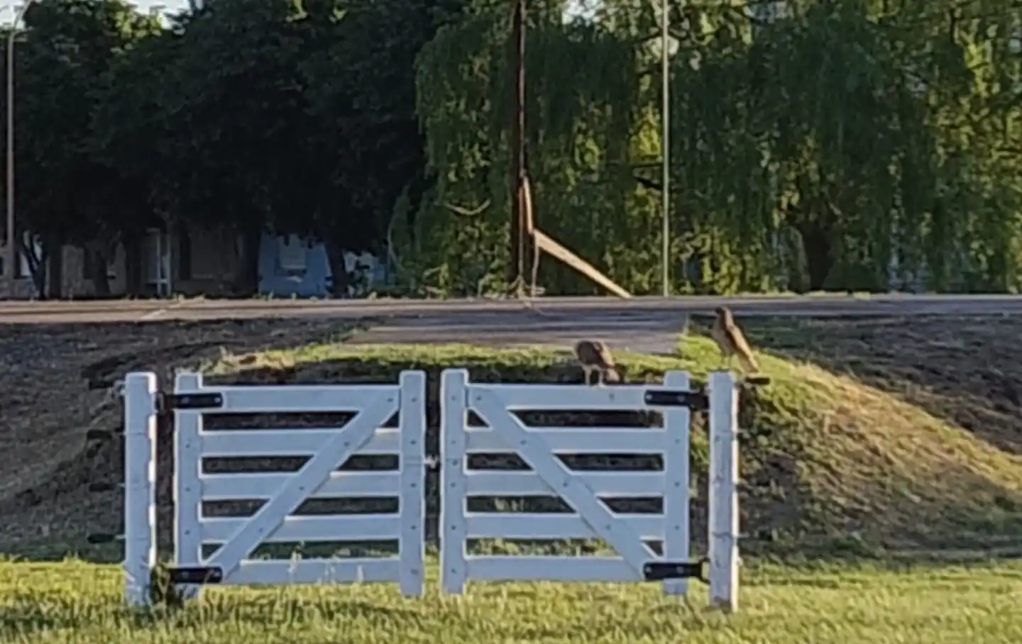 El predio y el escenario donde se verán los espectáculos