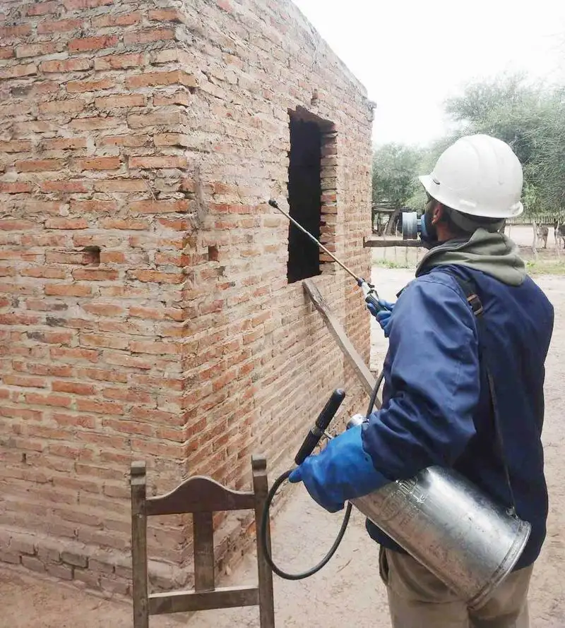Renovaron trabajos contra el Chagas en Las Lomitas